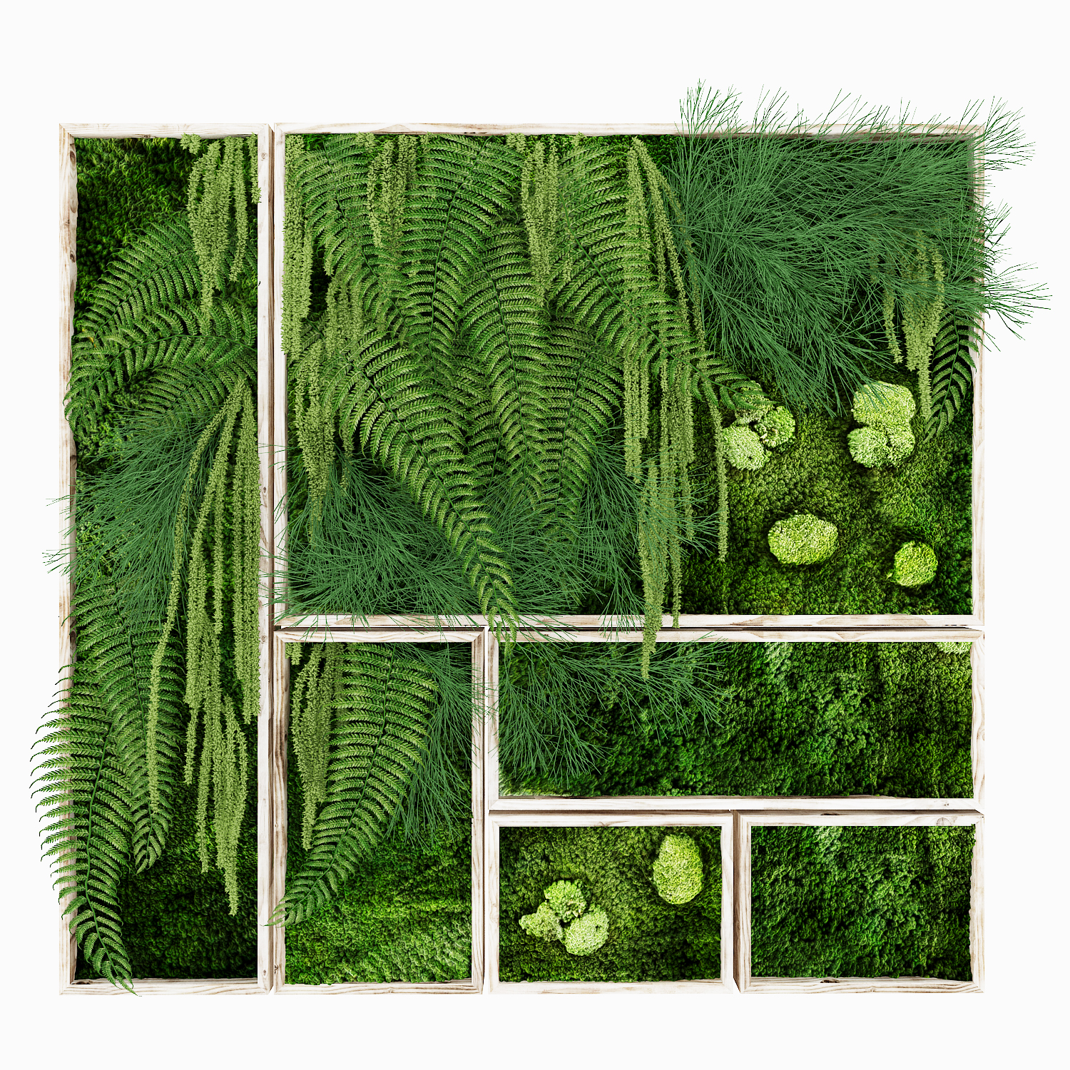 植物墙, 绿植, 绿植墙, 装饰墙