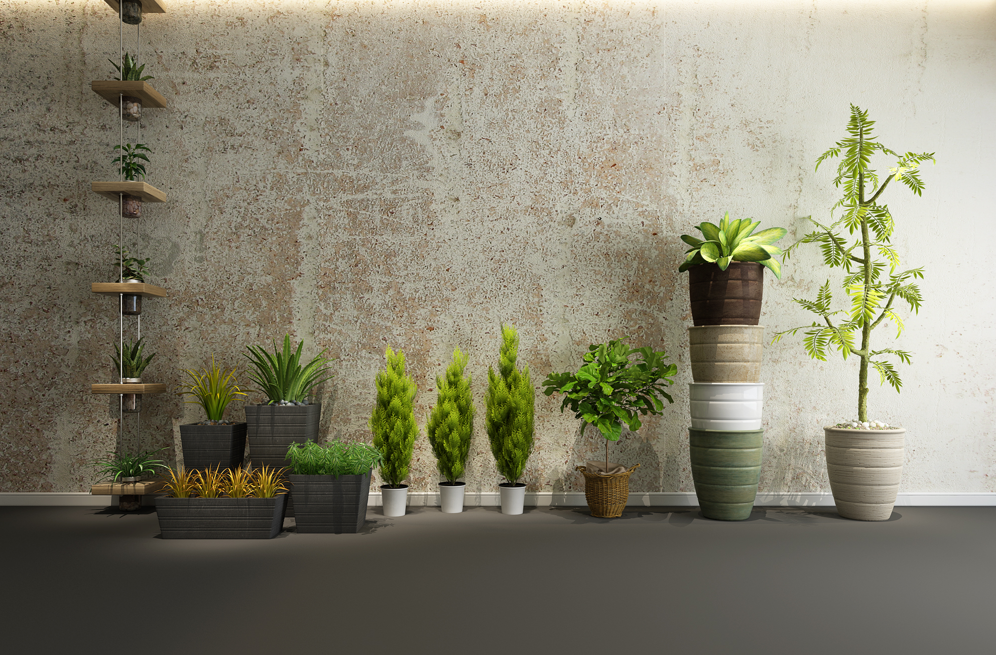 花, 墙, 植物组合, 盆栽, 植物, 绿植, 现代